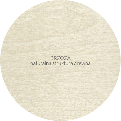 PLYWOODPOL-brzoza